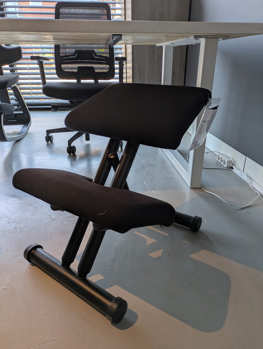 Varier multi balance