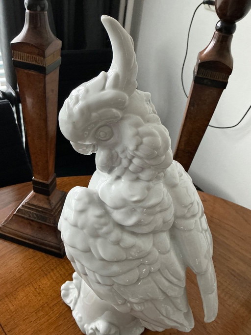 cacatúa blanca grande