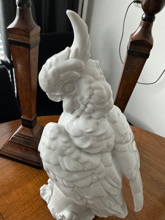 Image 1 of Weißer Kakadu