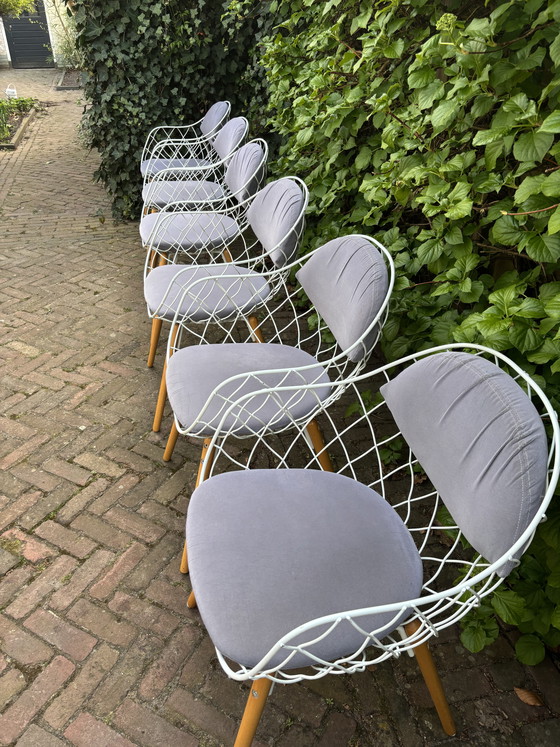 Image 1 of Ensemble de 6 chaises design Magis Piña - Jaime Hayon - très confortables