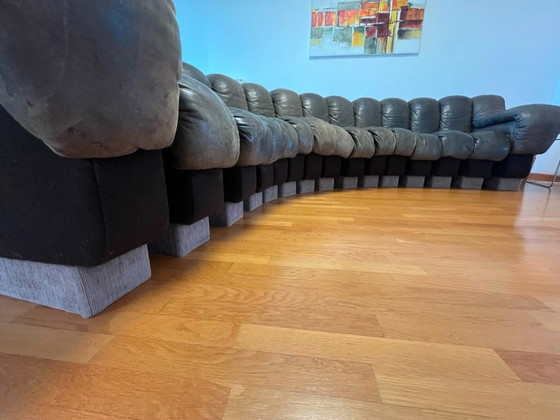 De Sede DS-600 "Tatzelwurm" banken – Olijfgroen leer – Totaal 21 modules – Modulaire banken, Leather (photo 5 of 7)