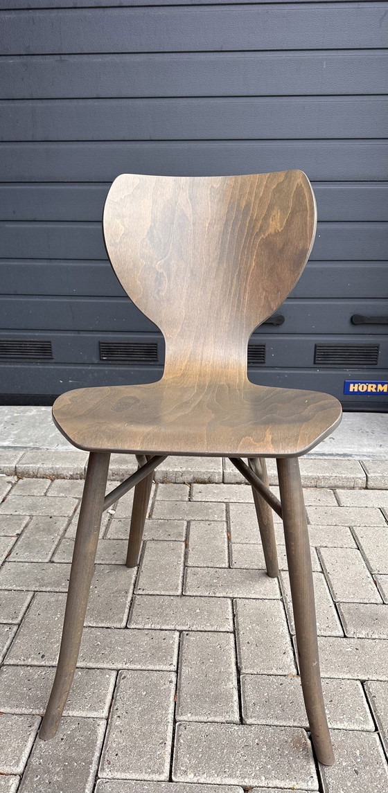 Image 1 of 2x chaises design Linteloo Tulipani