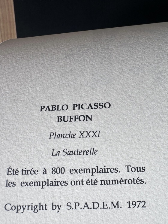 Image 1 of Pablo Picasso (1881–1973) Schöne Lithographie der Heuschrecken