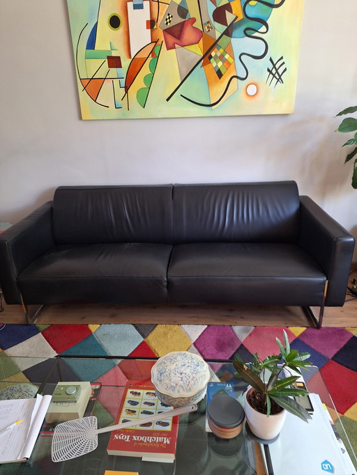 Artifort Mare Bank en Loveseat