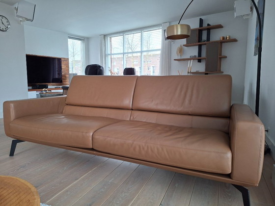 Image 1 of De Sede DS-87 Divano Donna marrone cognac