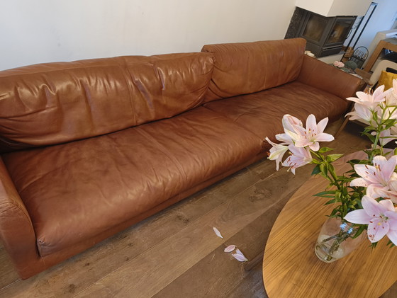 Image 1 of Montis Axel 5 Persone