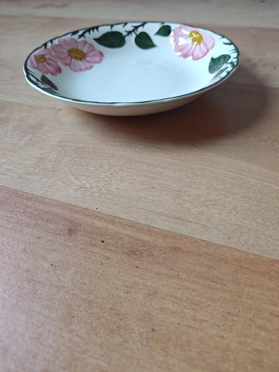 Image 1 of Vajilla Villeroy & Boch Wild Rose
