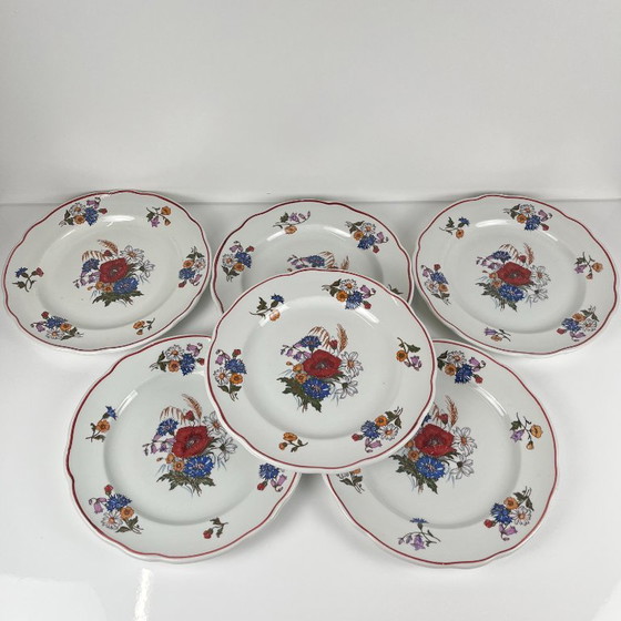 Set of 6 Dinner Plates "Agreste", Sarreguemines, Late 20th Century, Pyroblan – Crockery, Porcelain, Vintage (photo 8 of 13)
