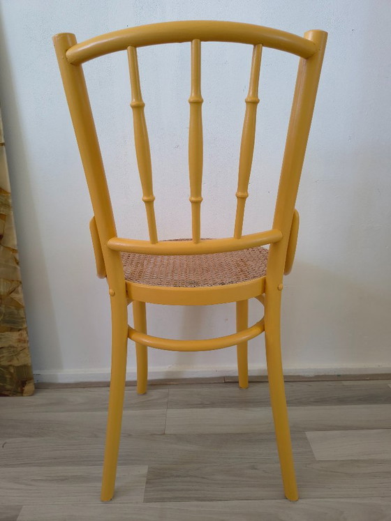 Vintage Thonet Style Bistro Chair - Ocher Yellow / Rattan – Dining chairs, Wood (photo 4 of 7)