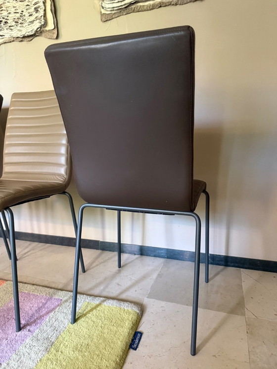 Sedie da pranzo MIDJ – Leather (photo 4 of 6)