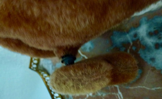 Image 1 of Schuco Trip-Trap Dog 7220 Dachshund (Dackel).