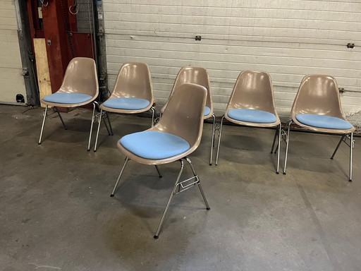 6x Vintage Fiberglass DSX Chairs Dining Room Chairs Vitra Eames