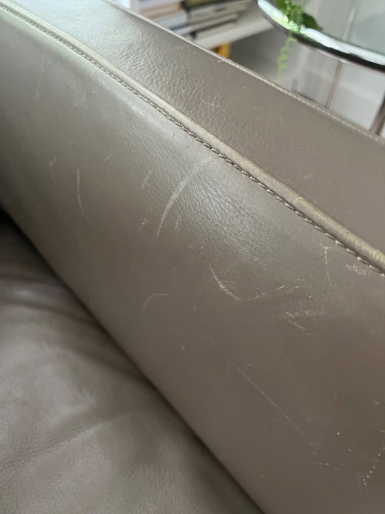 Image 1 of Molinari Modelo Aspen, Color Hígado 2017