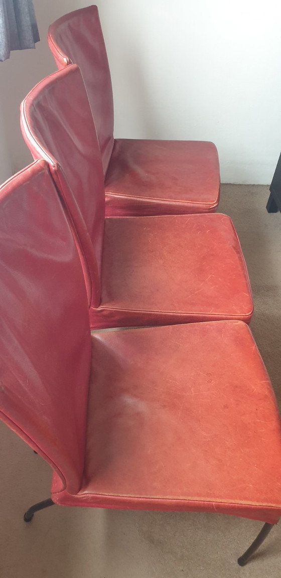 Image 1 of Sedie per sala da pranzo Spica Van de Berg