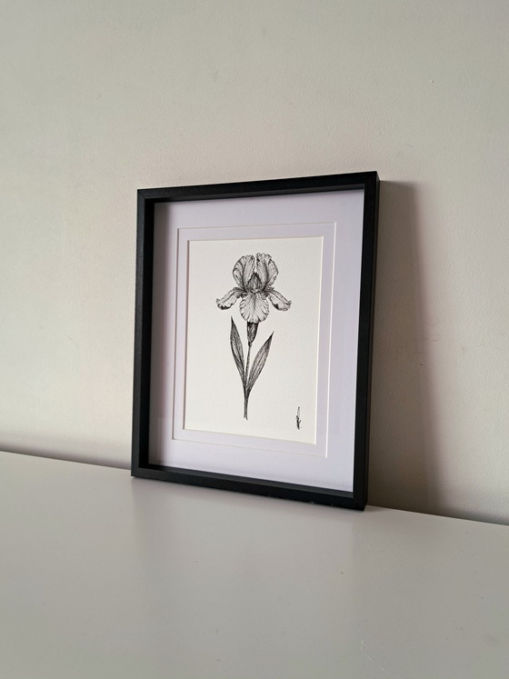 Image 1 of Illustration Iris original black frame