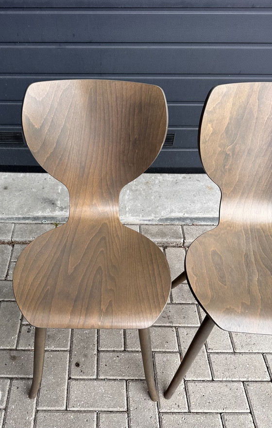 Image 1 of 2x chaises design Linteloo Tulipani