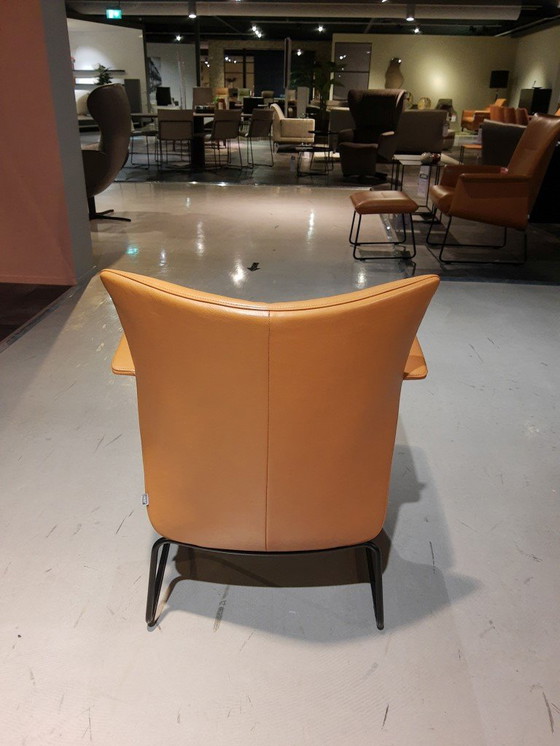 Image 1 of Cognac Aida