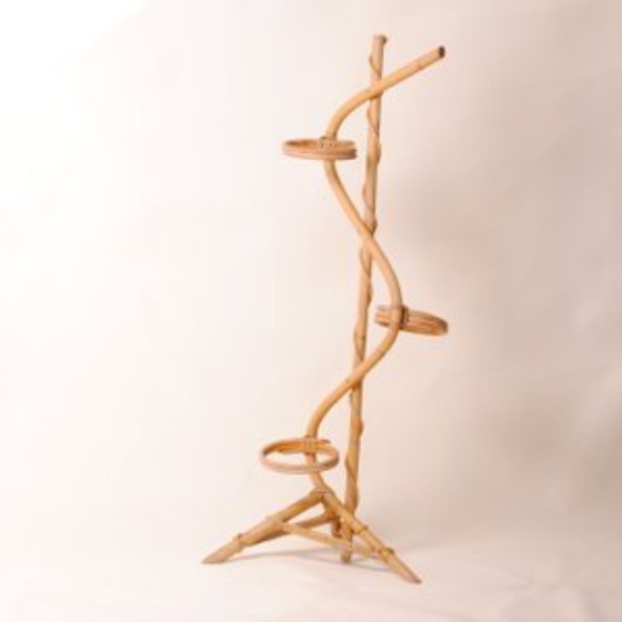 Image 1 of Handmade plant stand in varnished natural bamboo and rattan, 1950s