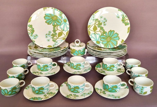 Villeroy & Boch SCARLETT service in perfect condition