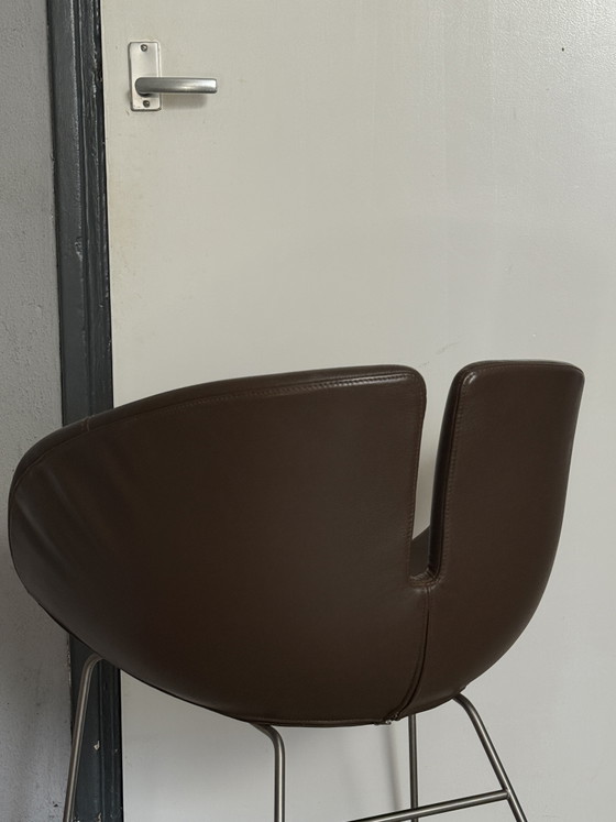 1 sedia Moroso Fjord in pelle – Sedie e poltrone, Leather, Metal (photo 2 of 5)