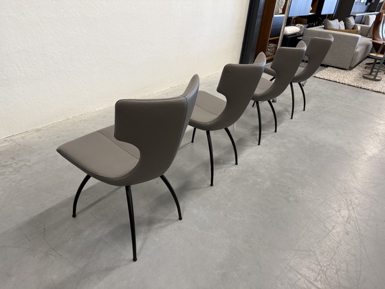 Image 1 of 4 Leolux Callas Dining Chair Wapiti Triel Artisan Chair