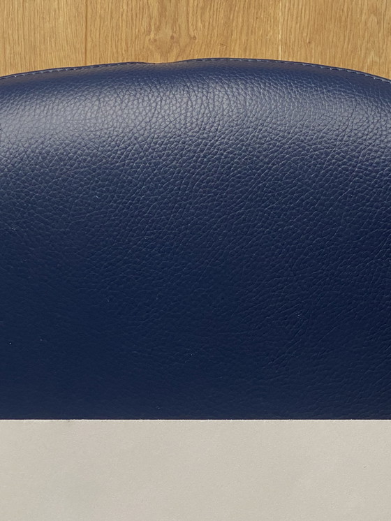 Image 1 of Leolux caruzzo