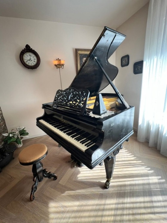 Antieke vleugel piano, gebrüder KNAKE , West Munster Duitsland, Furniture, Cast Iron, Metal, Black (photo 9 of 10)