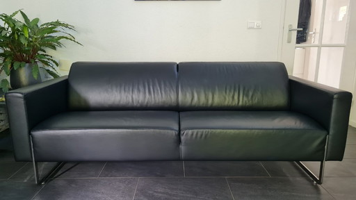 Canapé Artifort Mare, 2,5 places en cuir, designer René Holten