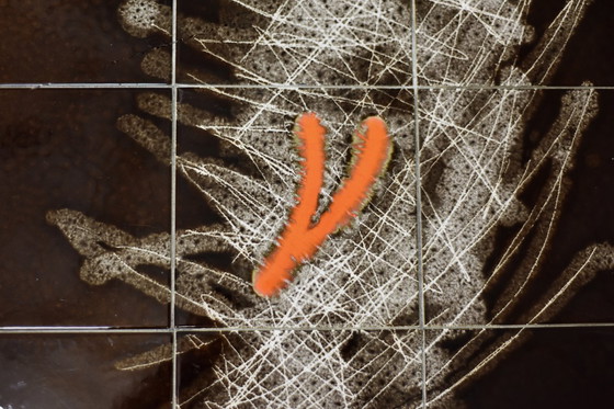 Image 1 of Table basse vintage moderne du milieu du siècle avec plateau en céramique carrelée, années 1970