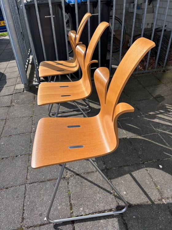 Image 1 of 5x Variér-Stühle, entworfen von Peter Opsvik