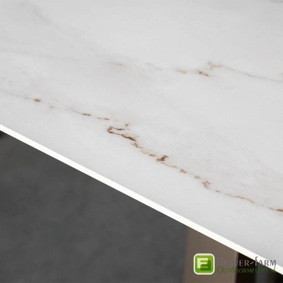 Image 1 of Borek tuintafel  LEXX ovaal Dekton 450x115 cm met Majinto Ardenza stoelen (7 stuks)