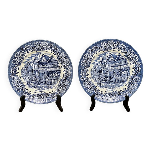 Een paar borden van Royal Tudor Ware. Engeland. – tafelaccessoires, Porcelain