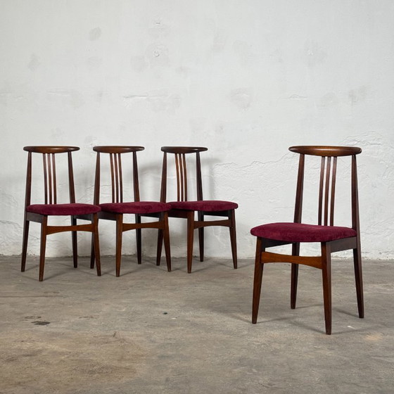 Image 1 of Juego de 5 sillas de comedor polacas de M. Zielinski, década de 1960.