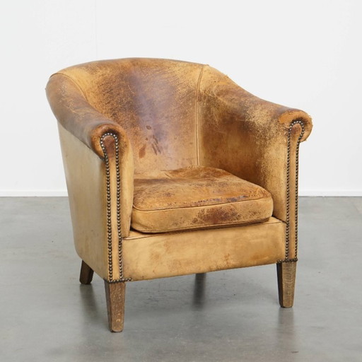 Sheep leather club chair by Nico van Oorschot