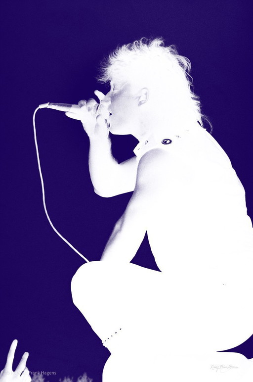 Bono con Fan - Concierto Rock Torhout Werchter (Bélgica) 1983