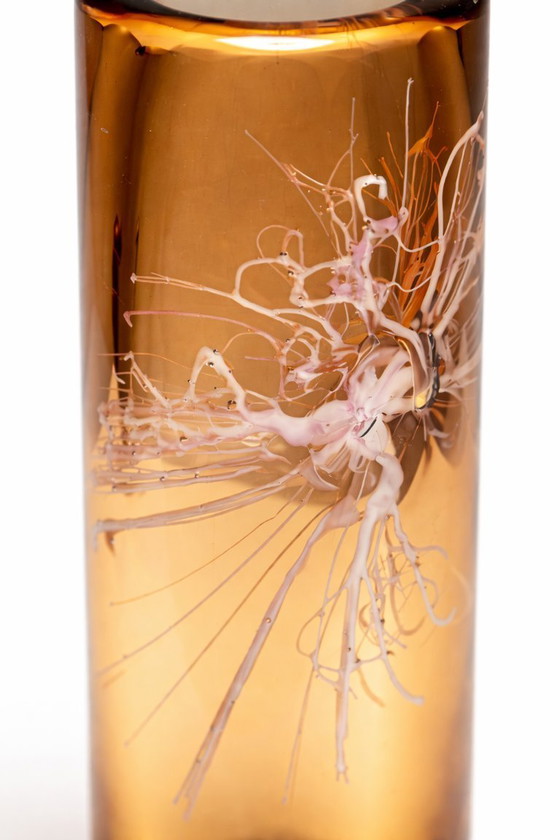 Image 1 of Glass Vase, Petr Hora, 1970s, Czechoslovakia