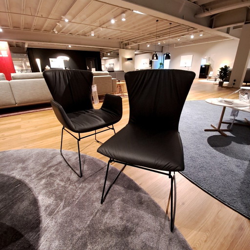 Draenert Dexter eetkamerstoel (set van 6)