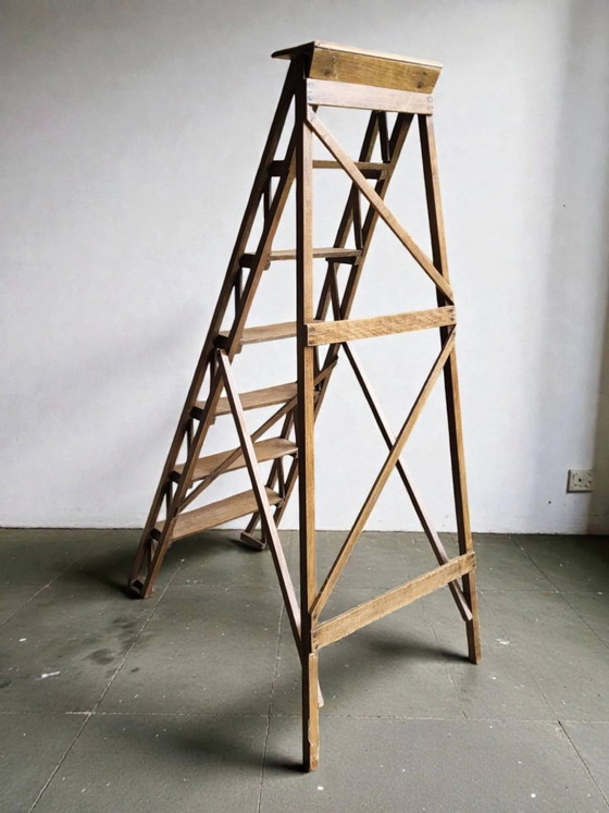 Bibliotheks-Trittleiter – Hocker, Wood (photo 7 of 9)