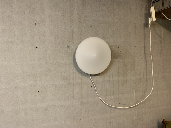 Image 1 of Discus van Raak Amsterdam B- 1411