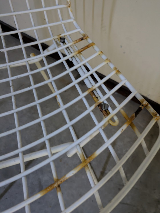 Image 1 of Chaise de salle à manger par Harry Bertoia