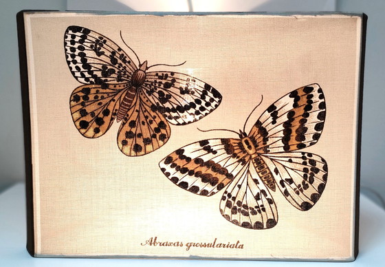 Image 1 of Suspension Papillons Trois Faces Tissu Années 90