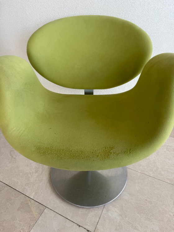 Image 1 of 4 sedie Artifort Little Tulip. Da rivestire.