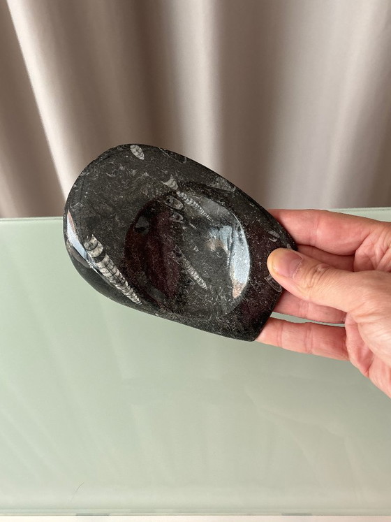 Vintage Black Orthoceras Fossil Stone Dish, Polished Natural Stone, Bowls, Marble (photo 2 of 7)