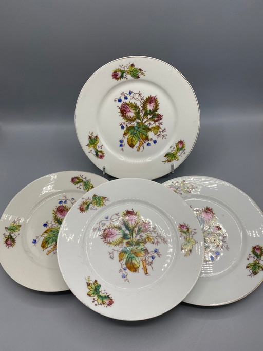 4 piatti da dessert antichi in porcellana, decorati con cardi e campanule, Francia – decoratieve objecten, Porcelain