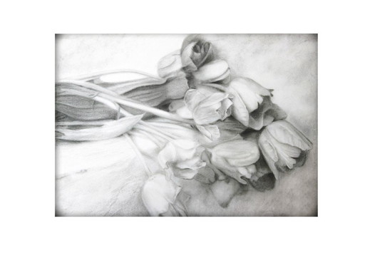 Charcoal drawing of tulips on paper. Tulip painting. Tulip drawing. Flower drawing. Flower painting. Signed.