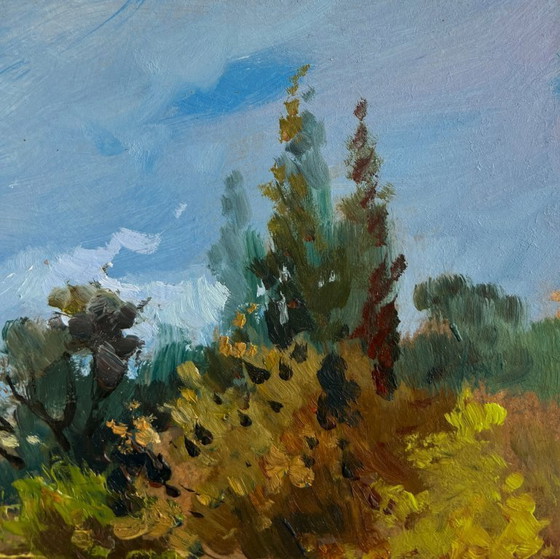 Image 1 of Origineel olieverfschilderij: Zomers rivierlandschap, een verloren hoekje van de natuur.