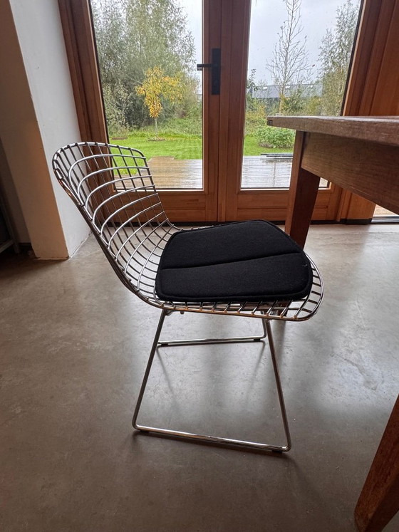 6 Knoll Bertoia – Esszimmerstühle, Eisen, Stoff (photo 5 of 5)
