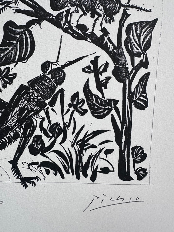 Image 1 of Pablo Picasso (1881–1973) Schöne Lithographie der Heuschrecken