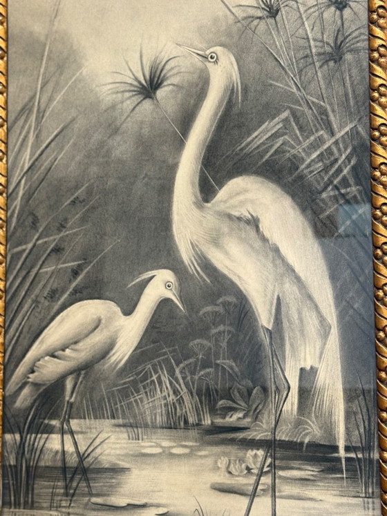 Image 1 of Naturalist charcoal drawing from the early 20th century