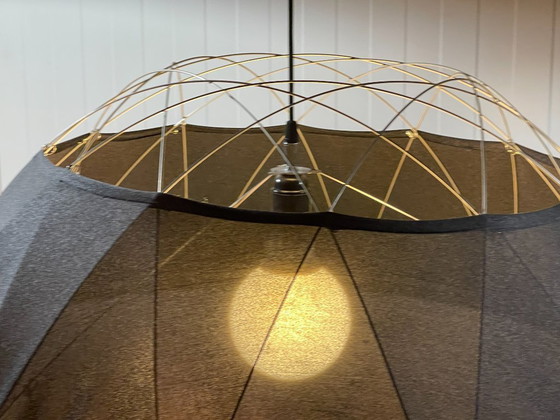 Image 1 of Luce olandese